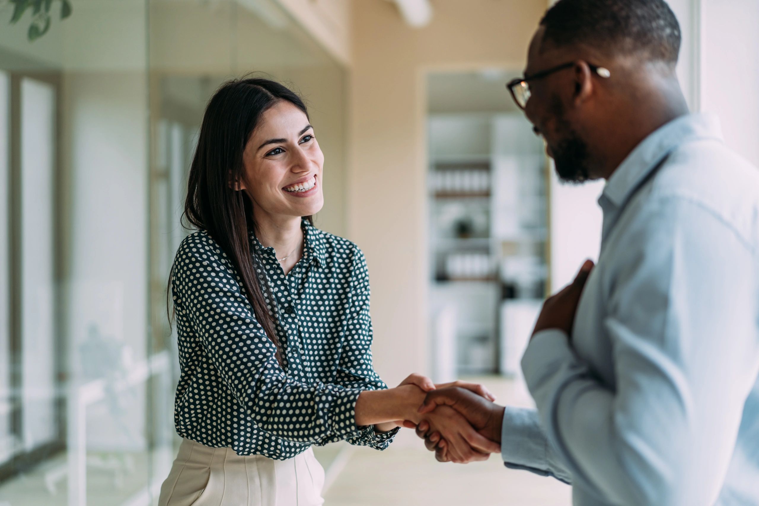 business professional handshake